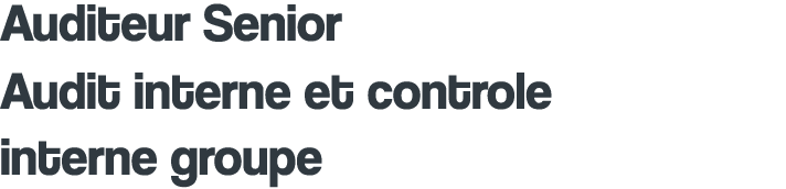 Auditeur Senior Audit interne et controle interne groupe